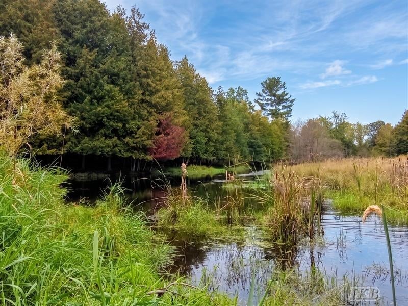 35.11-acres North Hockaday Road Gladwin, MI 48624 - Photo 27 of 83 Gallery Image 27