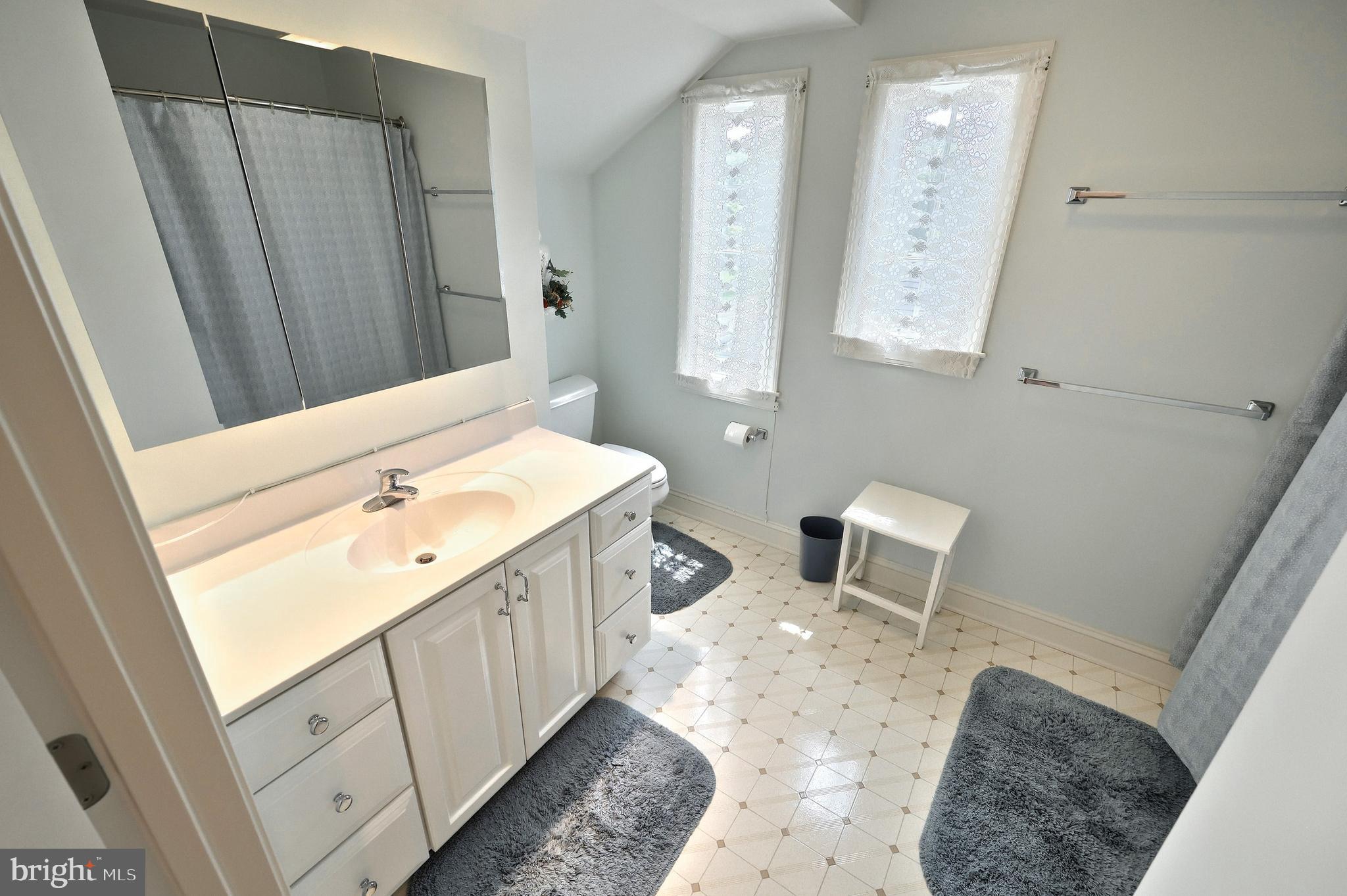 2700 Stockton Road Phoenix, MD 21131 - Photo 63 of 84 a bath room with a sink a toilet and a mirror