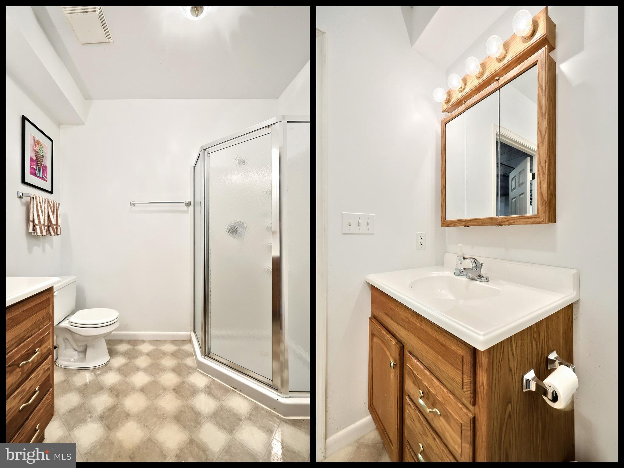 2700 Stockton Road Phoenix, MD 21131 - Photo 71 of 84 a bathroom with a sink toilet and shower