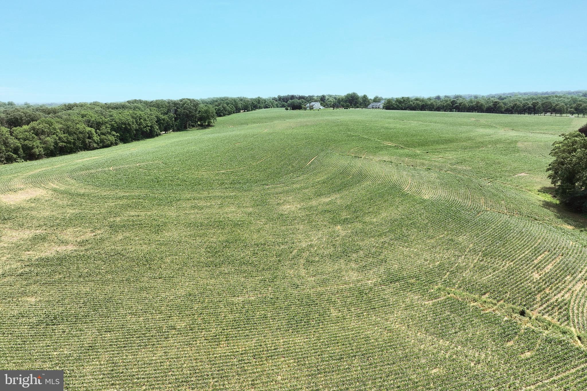 2700 Stockton Road Phoenix, MD 21131 - Photo 77 of 84 77 .5 tillable acres