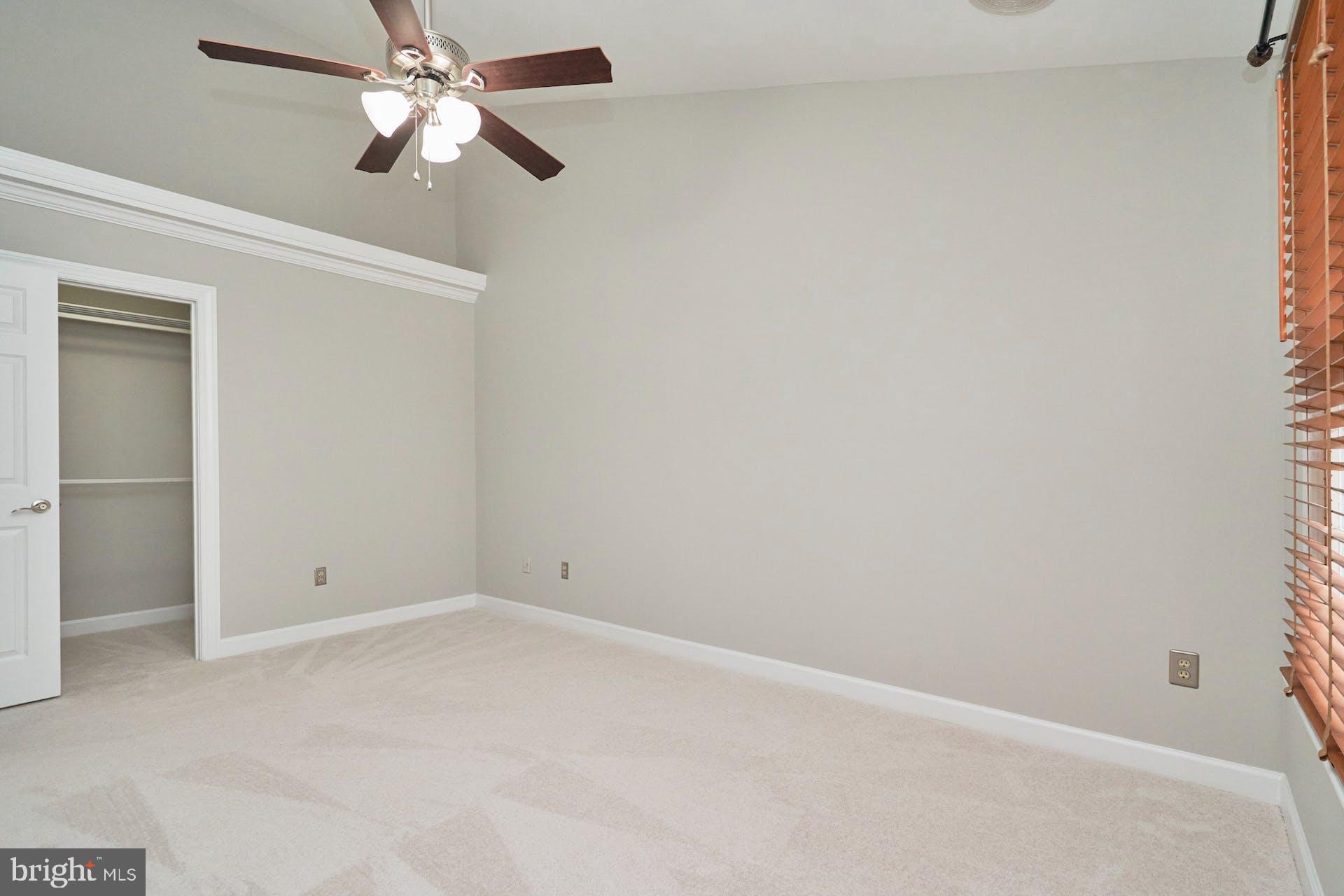 3647 Ransom Place Alexandria, VA 22306 - Photo 19 of 38 Freshly Main & Upper Levels