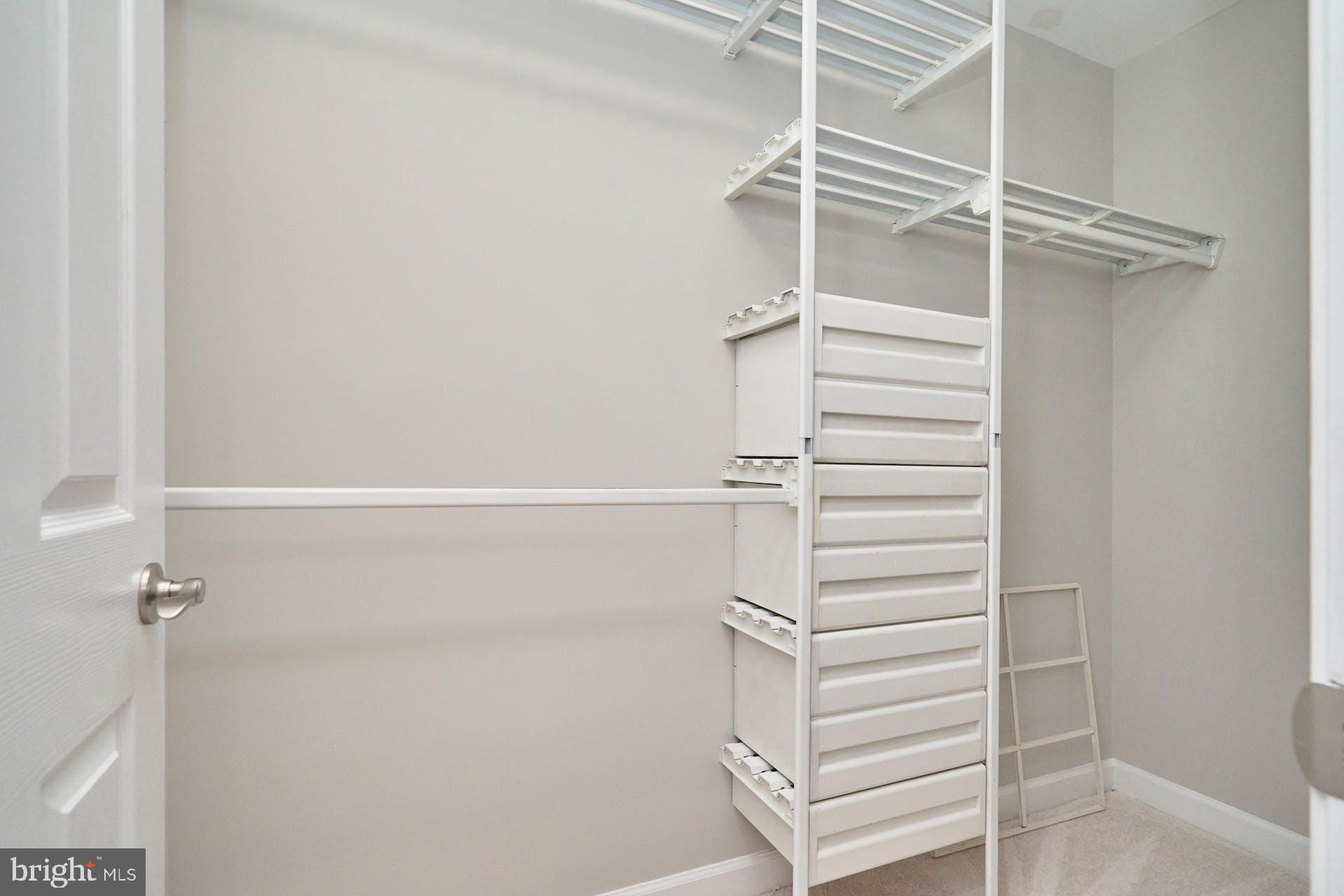 3647 Ransom Place Alexandria, VA 22306 - Photo 22 of 38 Primary Walk-in Closet with Organizers
