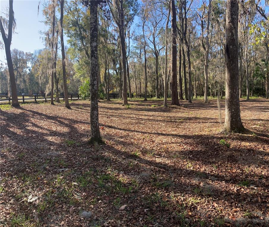 6800 Southwest 18th Terrace Road Ocala, FL 34476 - Photo 70 of 81