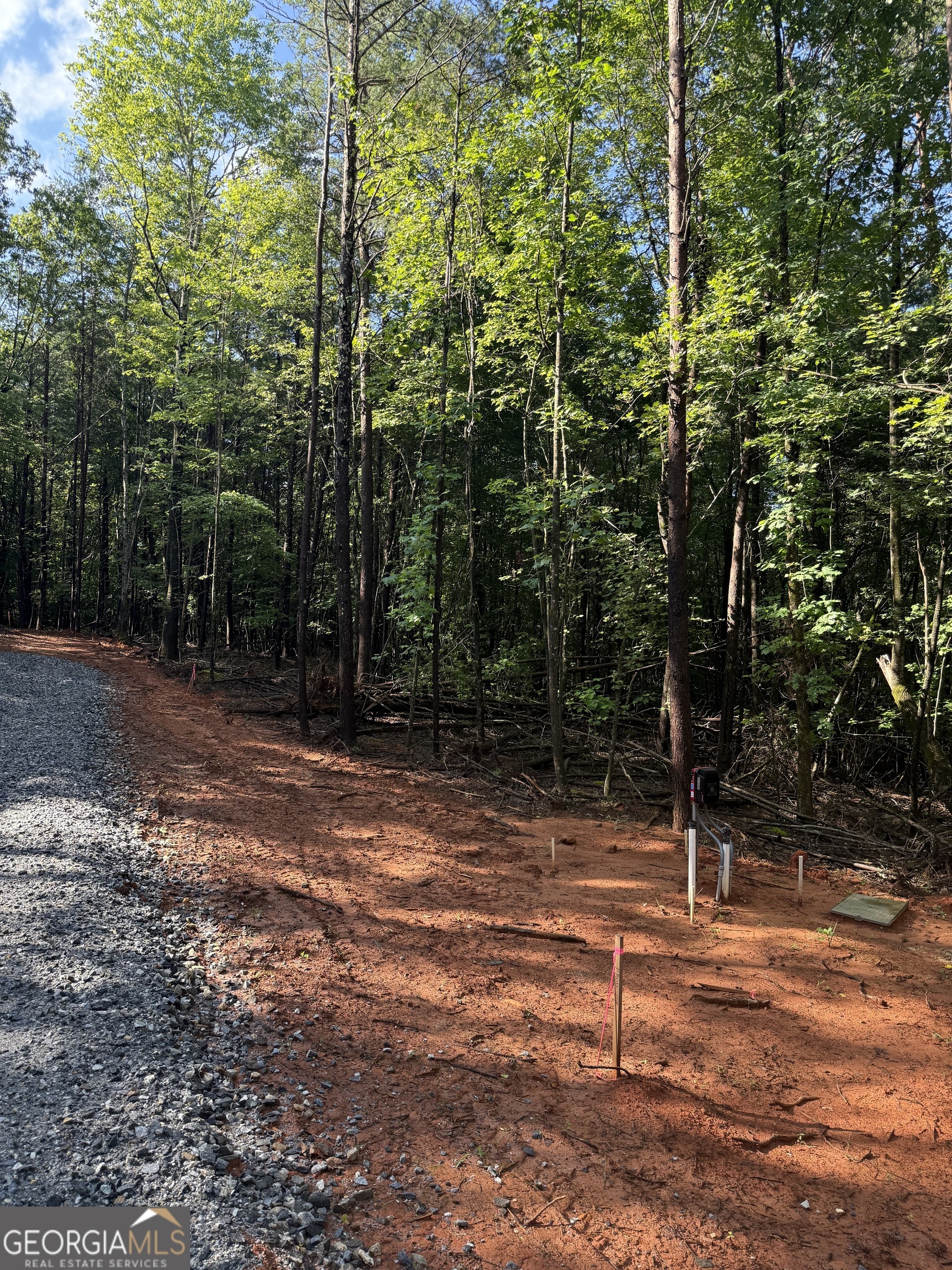 a view of a tree with a yard