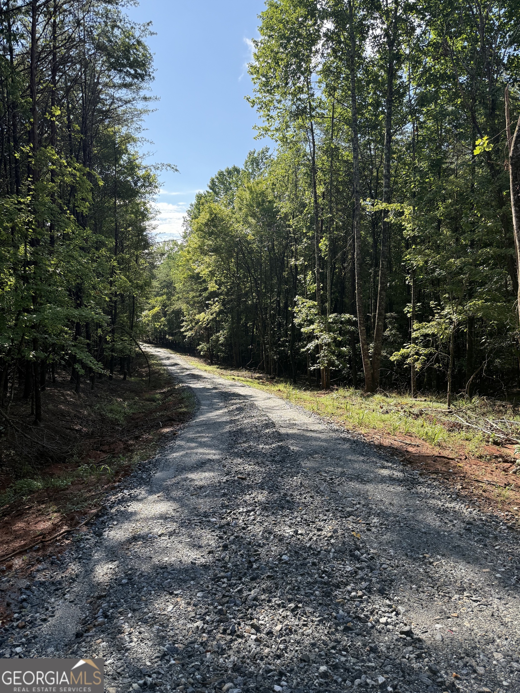 Lot 3 Helipad Road Sautee Nacoochee, GA 30571 - Photo 2 of 4 a view of a yard with plants and trees