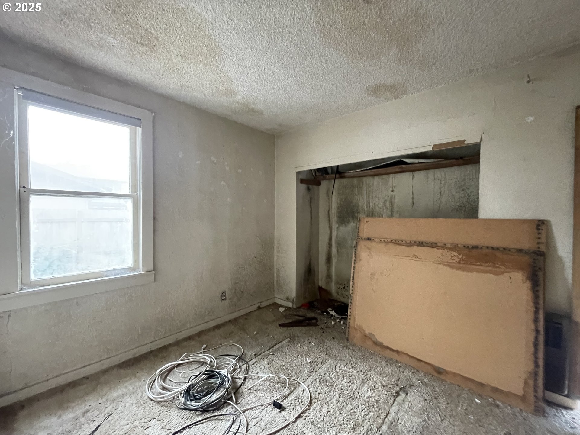 1109 4th Street Springfield, OR 97477 - Photo 9 of 12