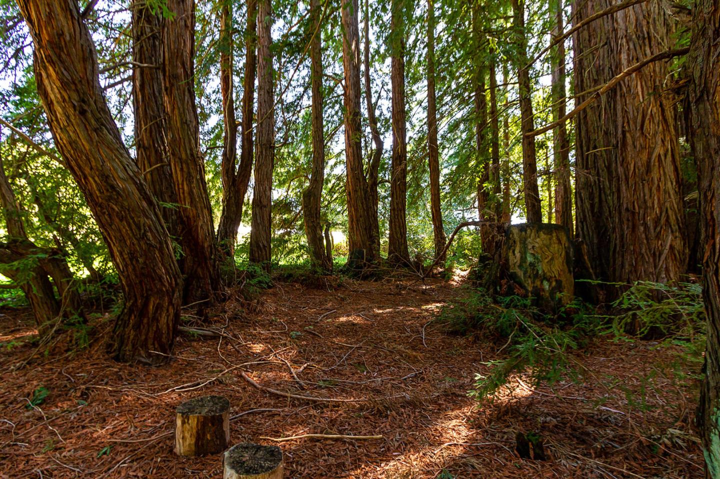 6040 Bonny Doon Road Santa Cruz, CA 95060 - Photo 19 of 36 Gallery Image 19