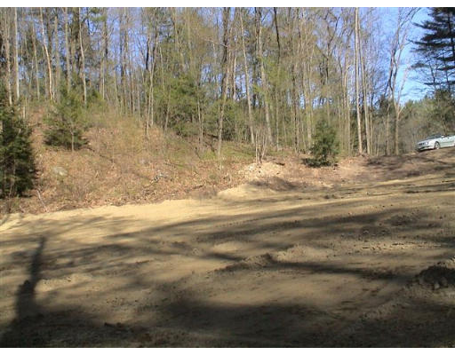 0 Reservation Road Sunderland, MA 01375 - Photo 6 of 8 a view of backyard with green space