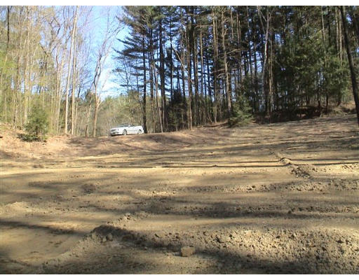 0 Reservation Road Sunderland, MA 01375 - Photo 7 of 8 a view of road with large trees