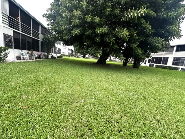 a front view of a house with a yard and large trees
