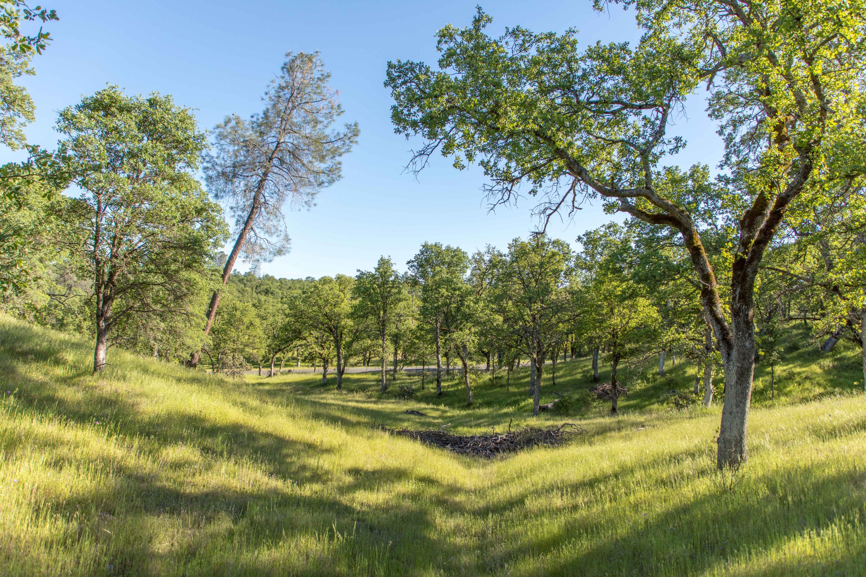 Quail Ridge Cottonwood, CA 96022 - Photo 16 of 27 254A8525