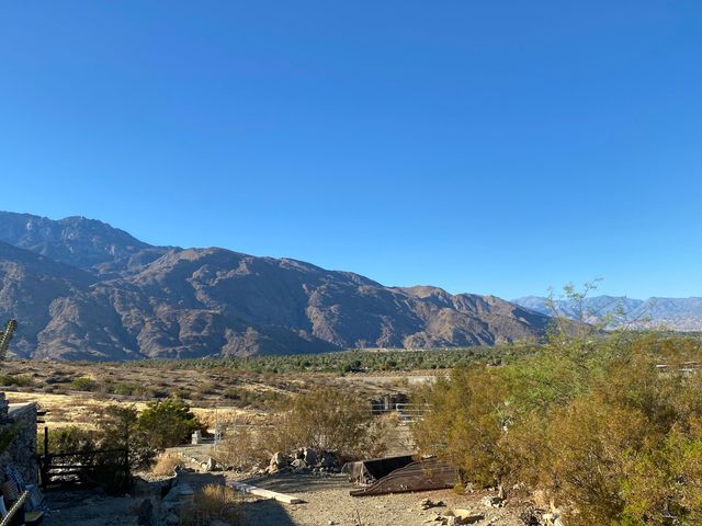 a view of a bench in the backyard