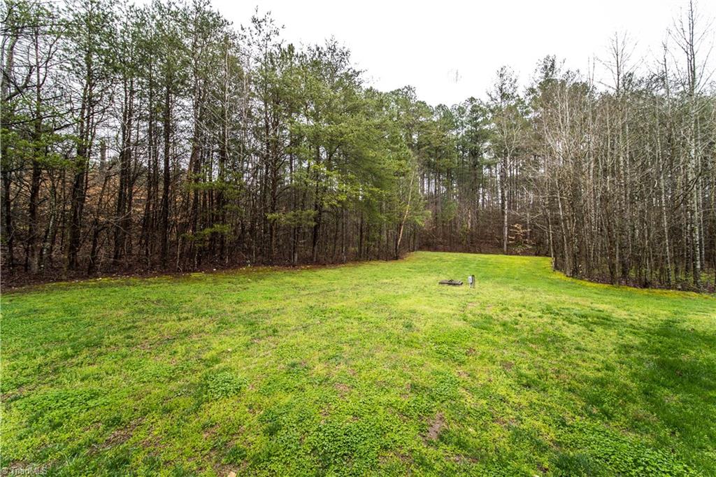 649 Fowler Road Walnut Cove, NC 27052 - Photo 3 of 30 Gallery Image 3
