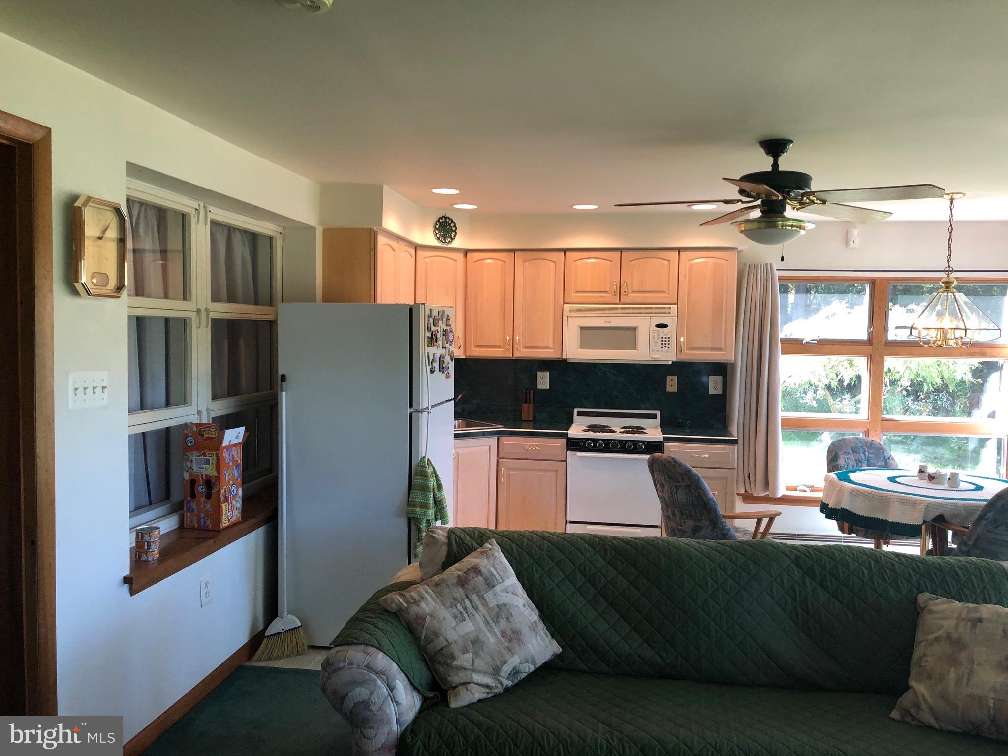 133 Lakeview Drive Alloway, NJ 08098 - Photo 16 of 27 2nd kitchen lower level