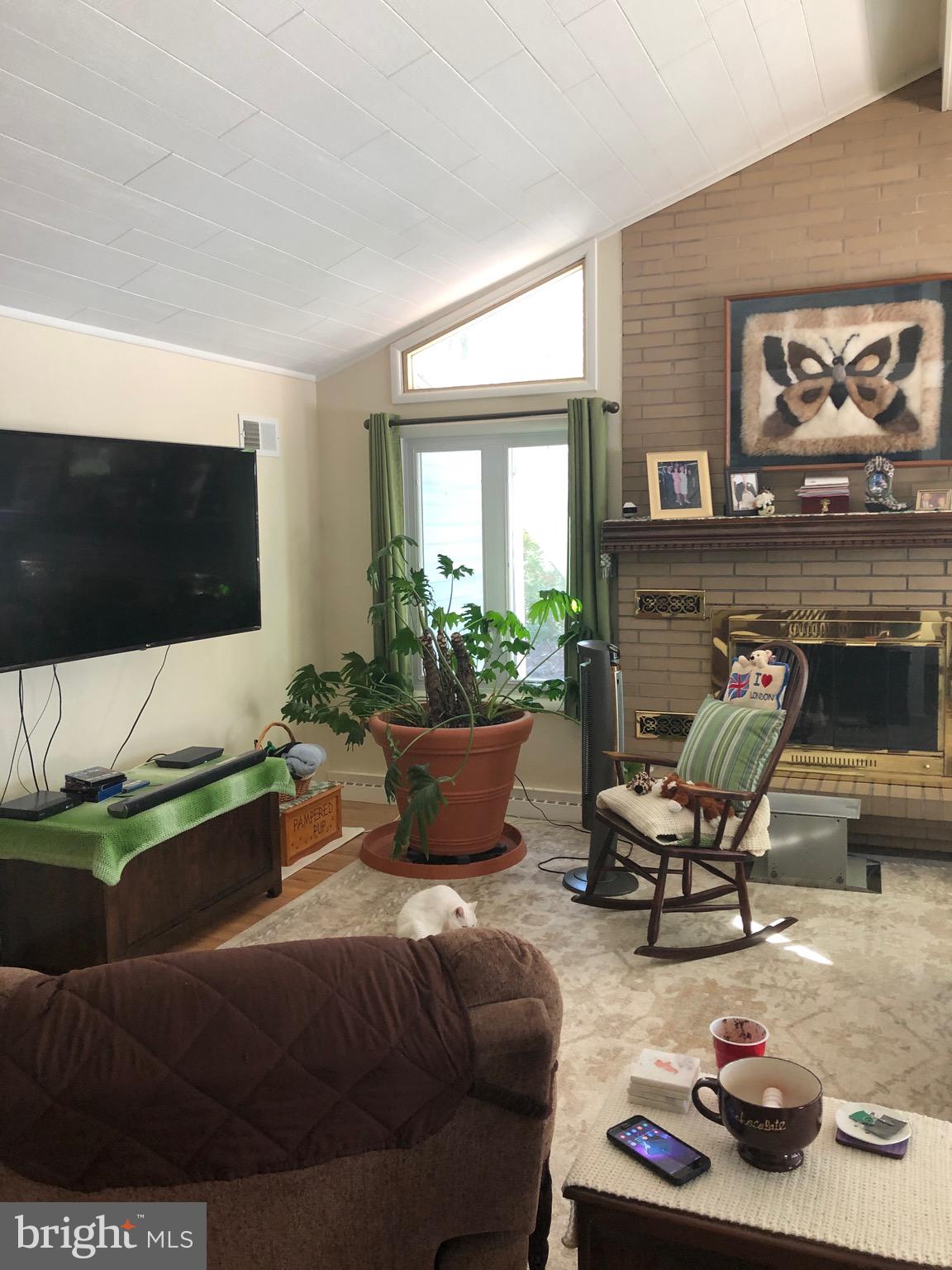 133 Lakeview Drive Alloway, NJ 08098 - Photo 3 of 27 Living/great room 1