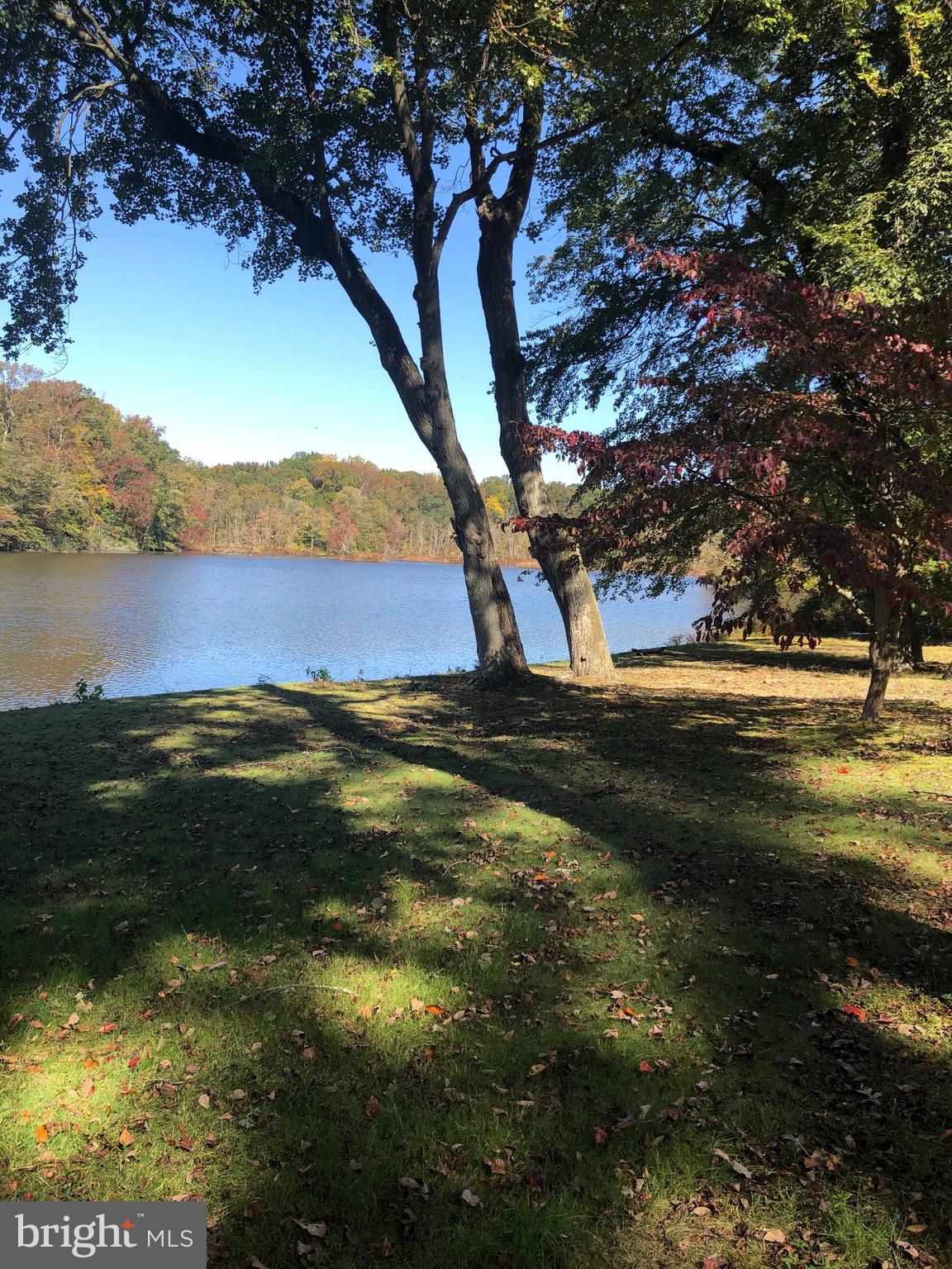 133 Lakeview Drive Alloway, NJ 08098 - Photo 26 of 27 View of rear yard and lake