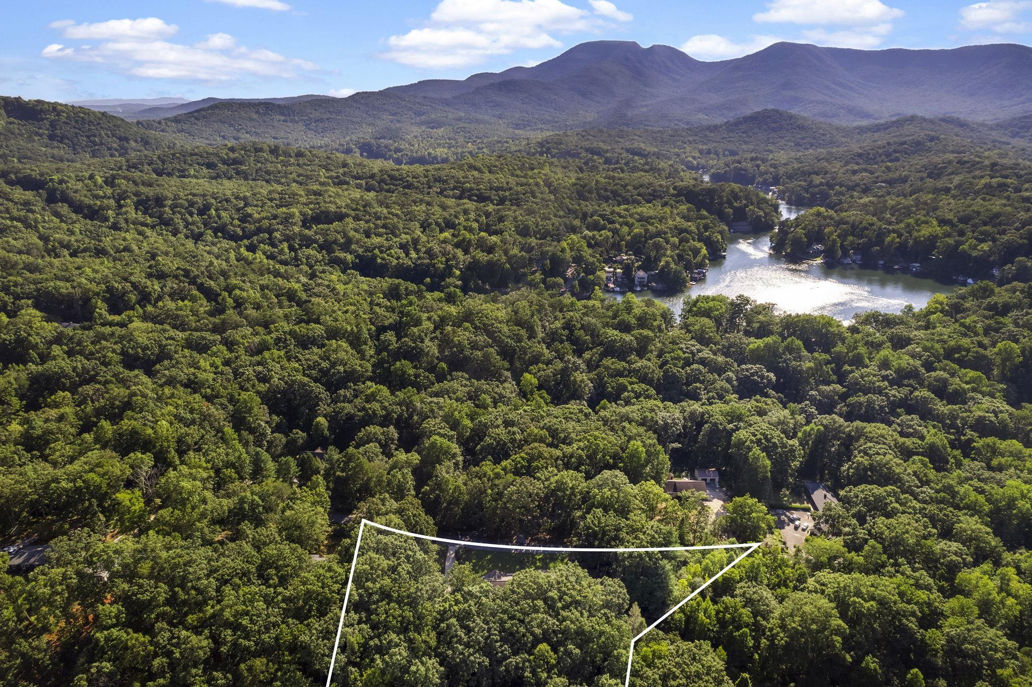 121 Lanier Drive Landrum, SC 29356 - Photo 39 of 41