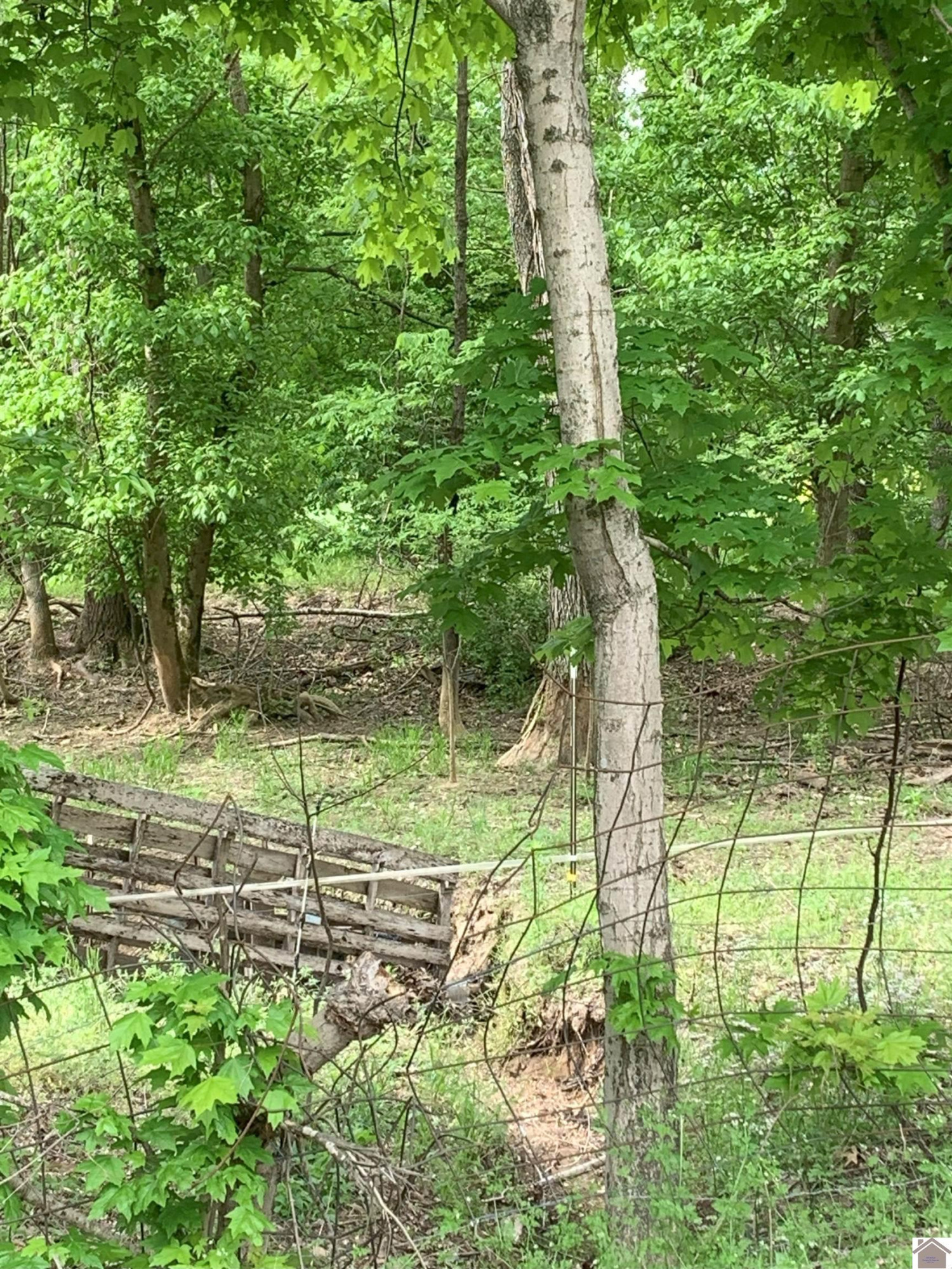 0 Bethlehem Road Wickliffe, KY 42087 - Photo 2 of 4 Photo 2