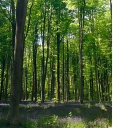 $555,000 | Lot 4 Winterberry Lane, Easton, MA 02356