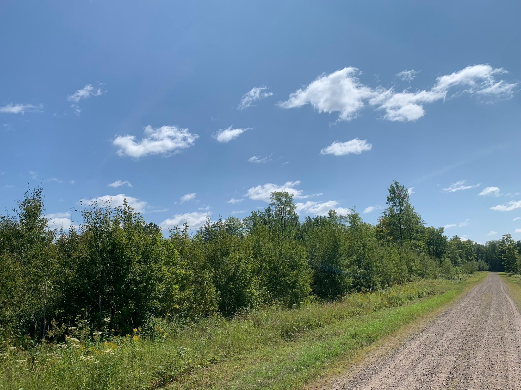 On Dynamite Road, Unit 36 / A Fifield, WI 54524 - Photo 12 of 18 Gallery Image 12