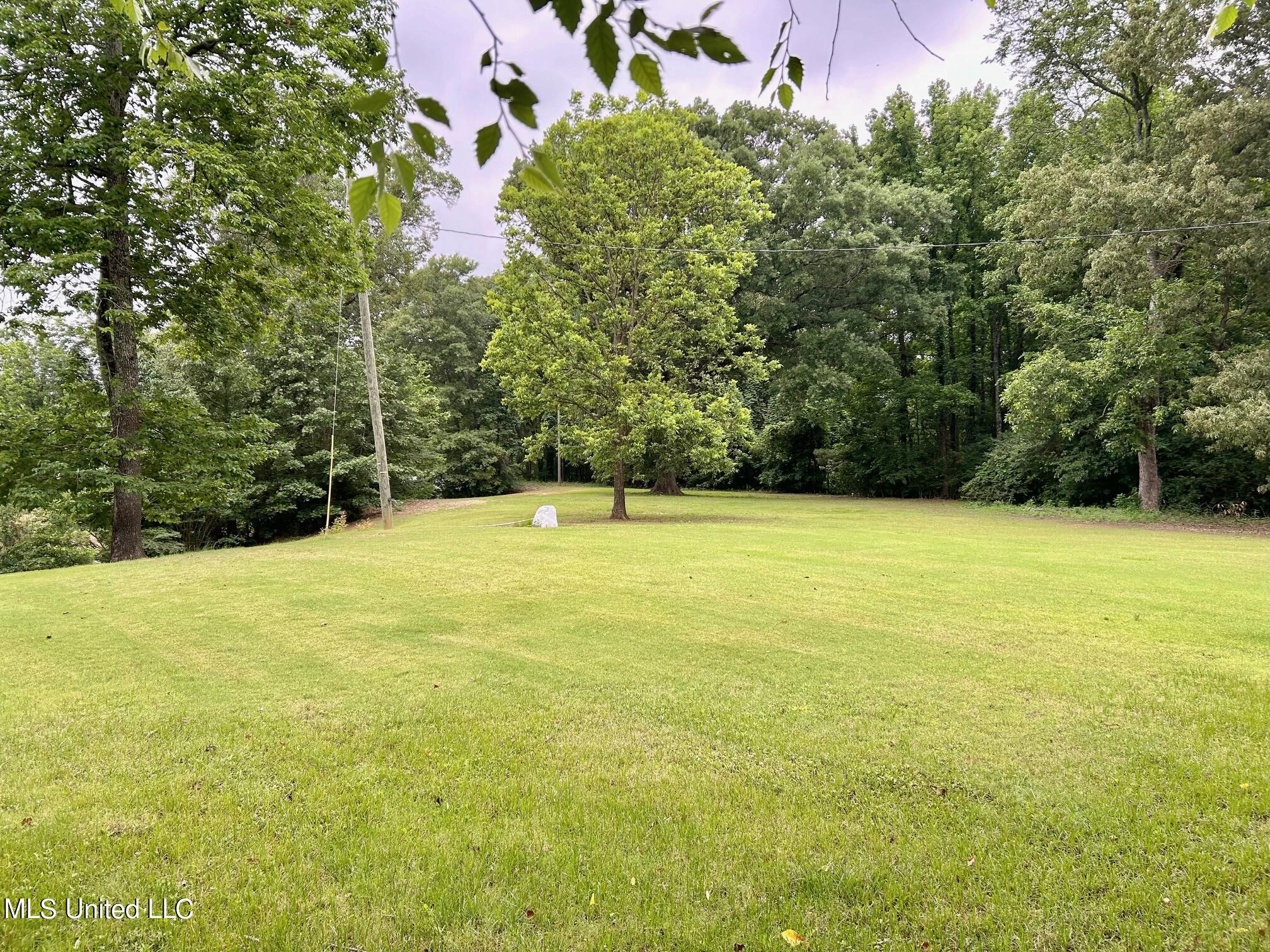 7908 Arkabutla Road Coldwater, MS 38618 - Photo 27 of 56 IMG_4786