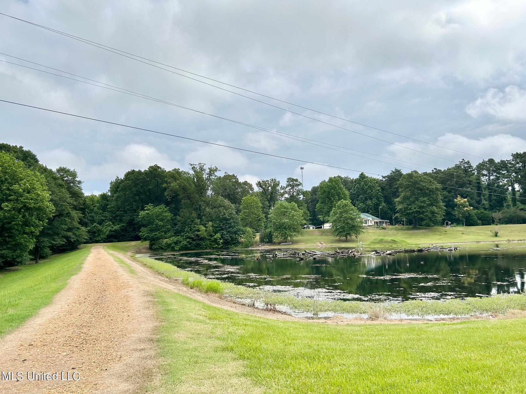 7908 Arkabutla Road Coldwater, MS 38618 - Photo 53 of 56 IMG_4818