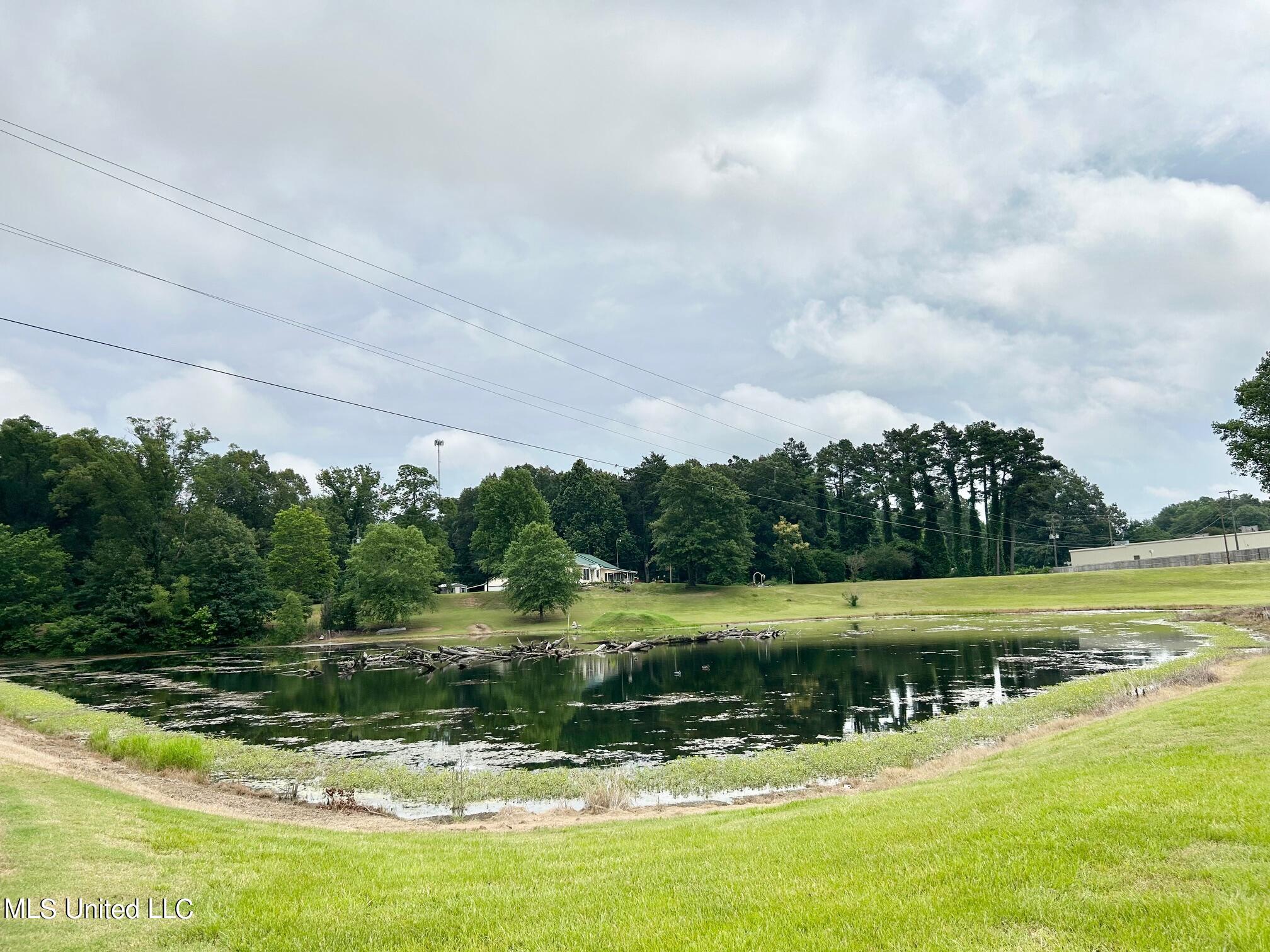 7908 Arkabutla Road Coldwater, MS 38618 - Photo 54 of 56 IMG_4819