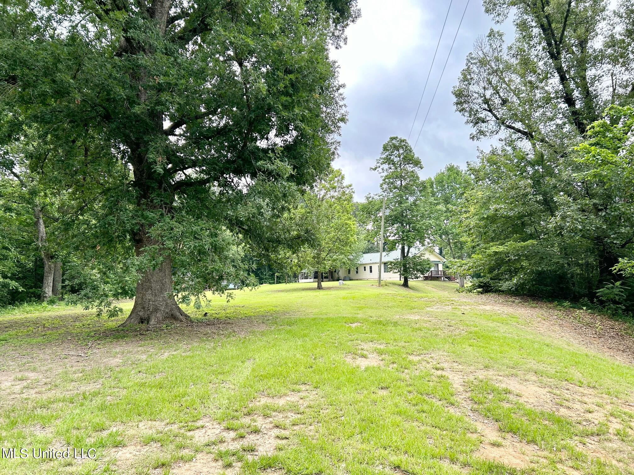 7908 Arkabutla Road Coldwater, MS 38618 - Photo 55 of 56 IMG_4820