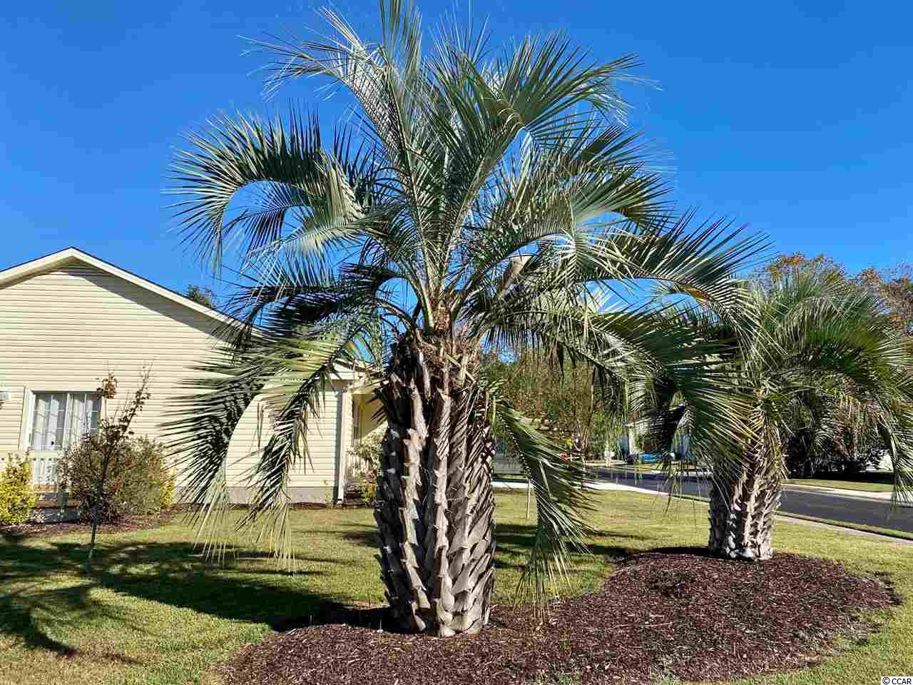 9604 Sullivan Drive Murrells Inlet, SC 29576 - Photo 25 of 25 Gallery Image 25