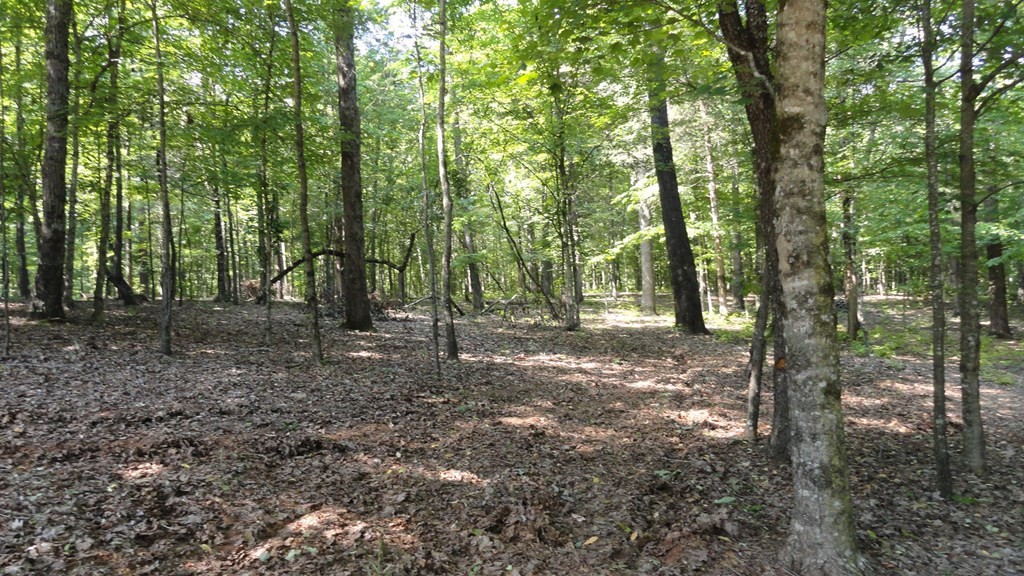 1202 Columbus Road Delano, TN 37325 - Photo 19 of 31 Gallery Image 19