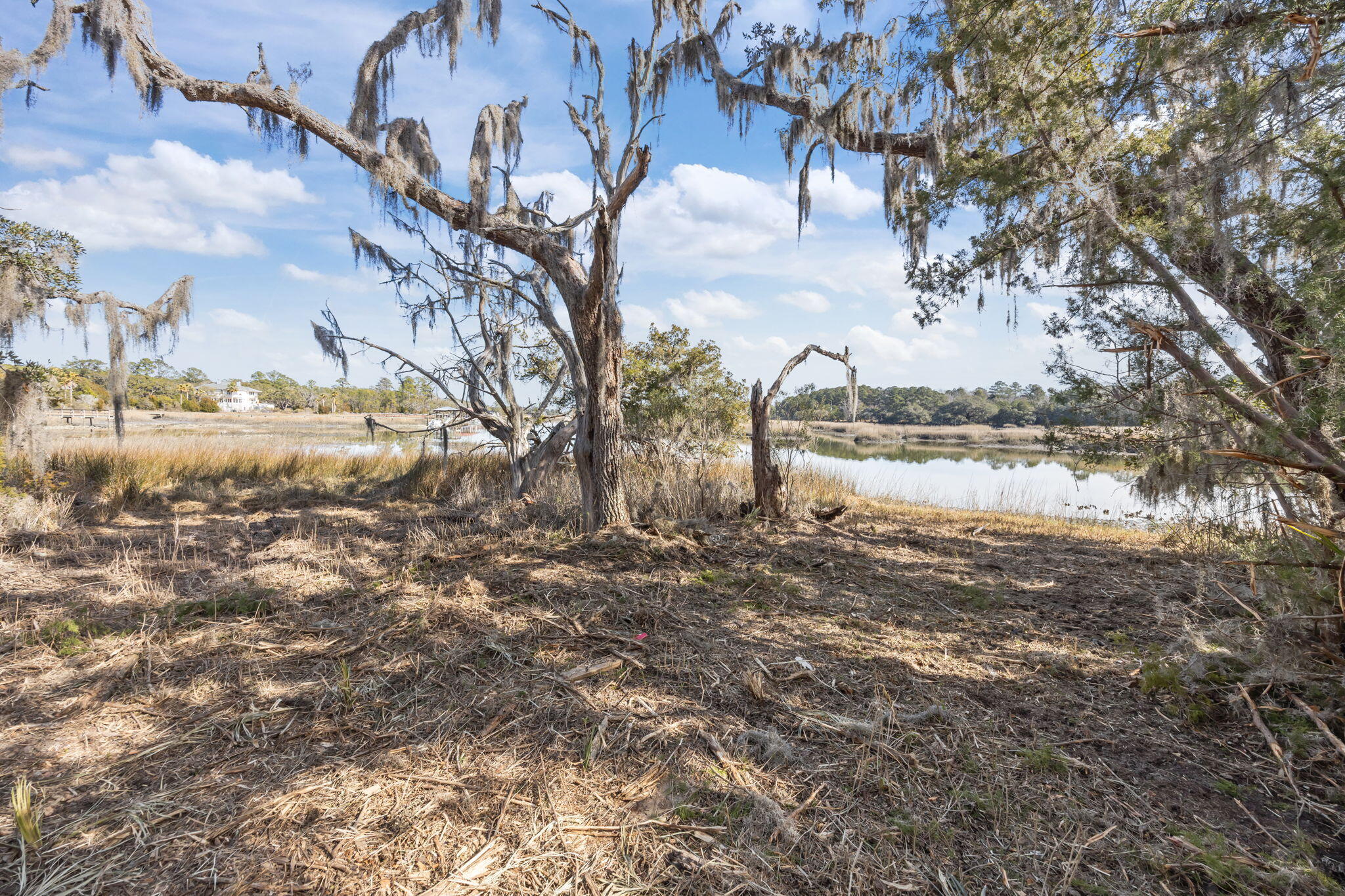 3 Summit Plantation Road Meggett, SC 29449 - Photo 11 of 14 22-web-or-mls-470A1724
