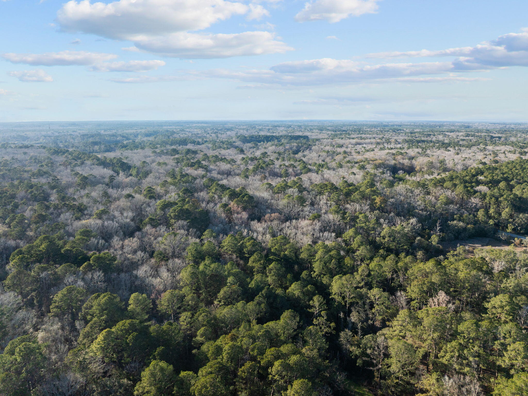 3 Summit Plantation Road Meggett, SC 29449 - Photo 4 of 14 7-web-or-mls-DJI_0043