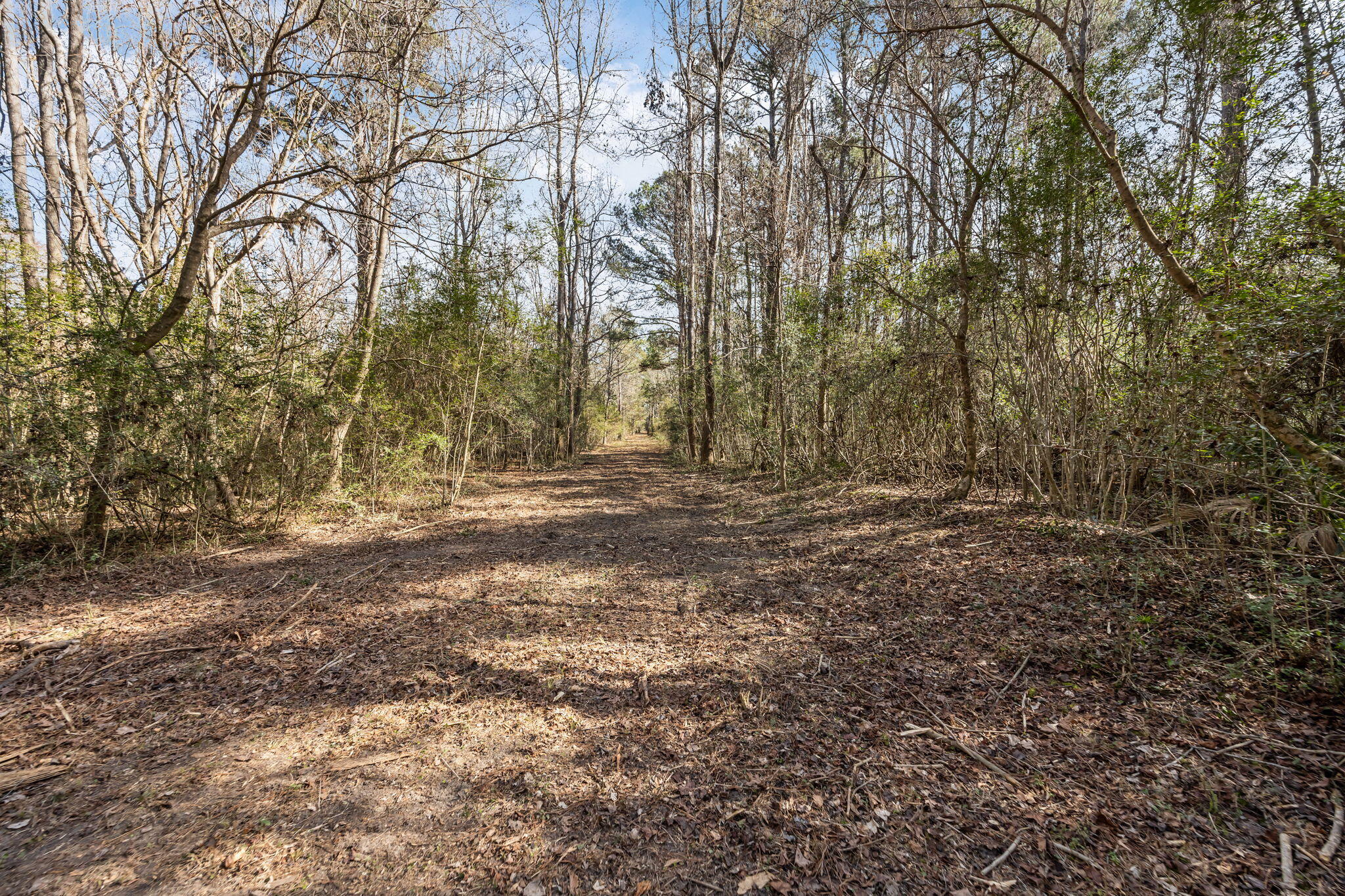 3 Summit Plantation Road Meggett, SC 29449 - Photo 8 of 14 18-web-or-mls-470A1720