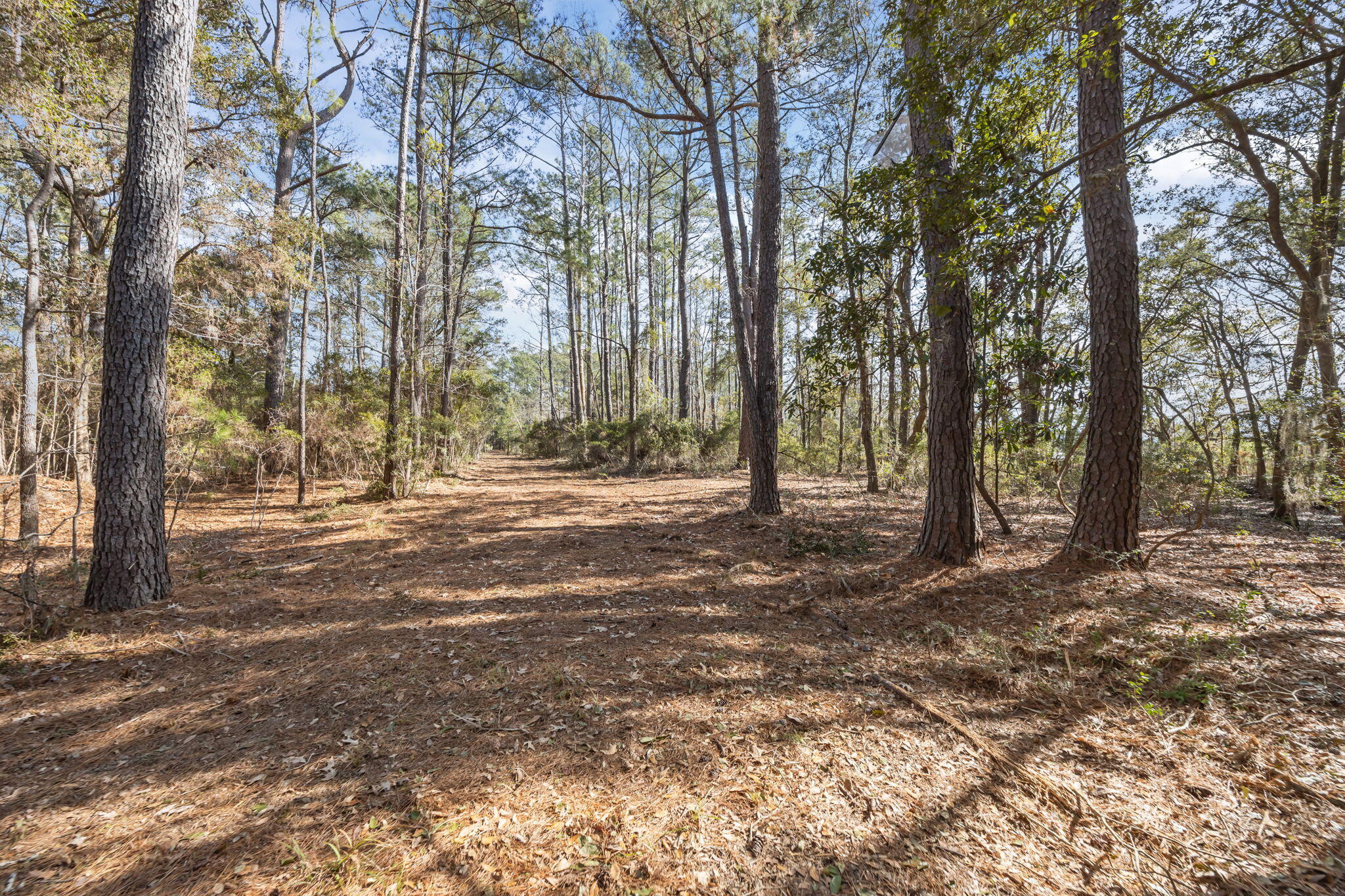3 Summit Plantation Road Meggett, SC 29449 - Photo 9 of 14 19-web-or-mls-470A1721