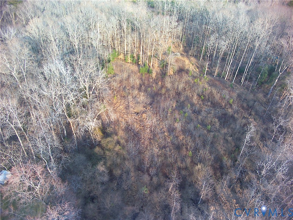 525 Waller Mill Road Williamsburg, VA 23185 - Photo 2 of 6 a view of yard