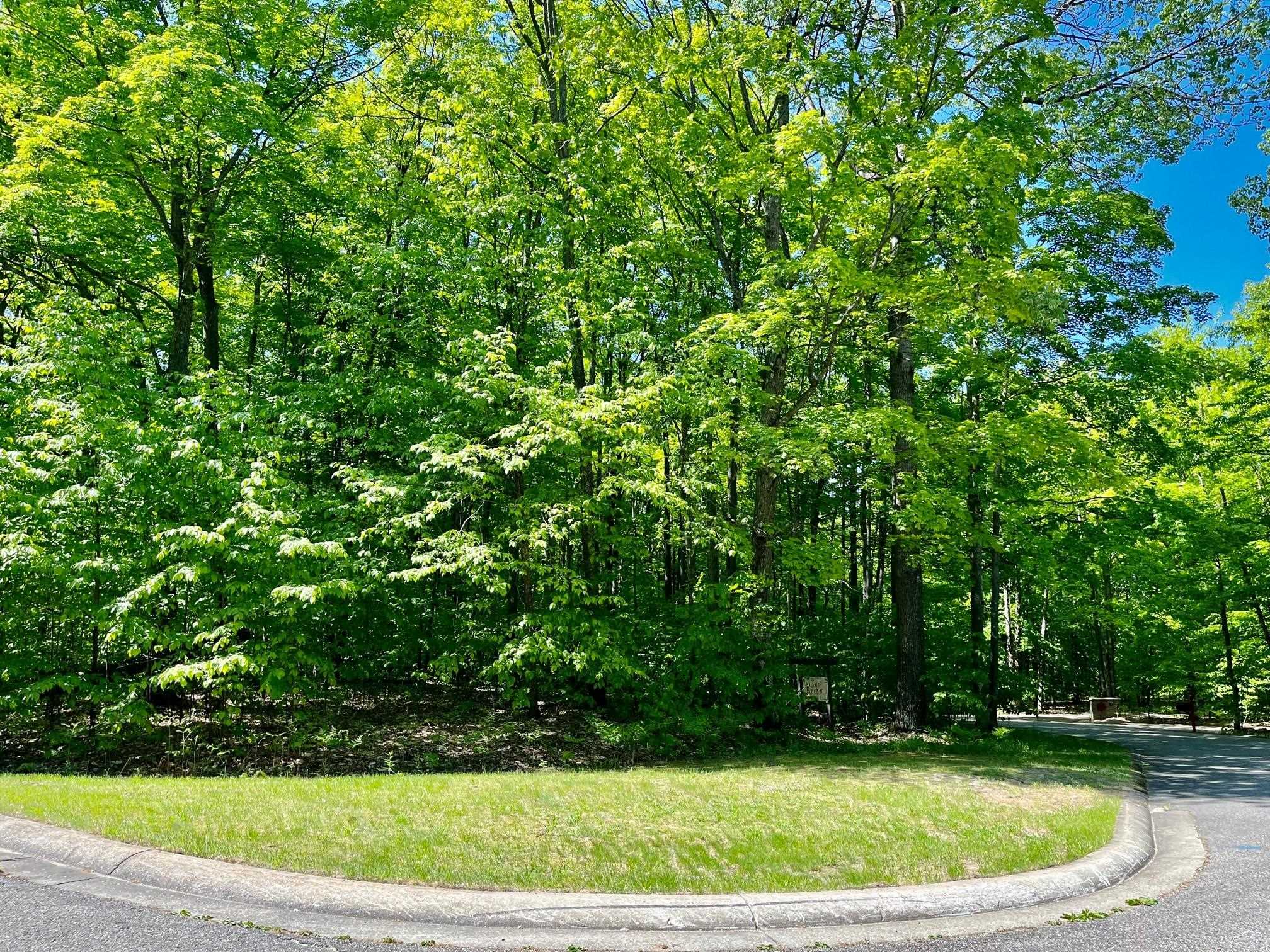 62 Valley Run Road Bellaire, MI 49615 - Photo 2 of 9