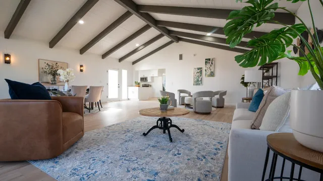 a living room with furniture rug and a potted plant
