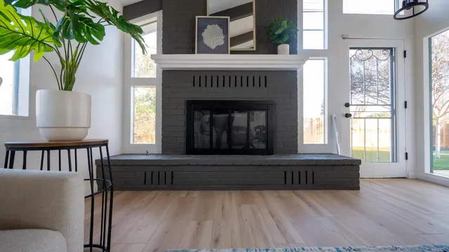 a living room with a couch and a potted plant