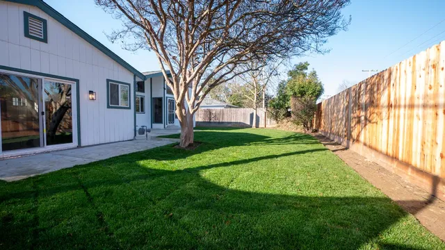 a view of a yard in front of a house with plants and large tree