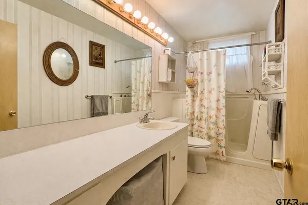 a bathroom with a sink a toilet and a mirror