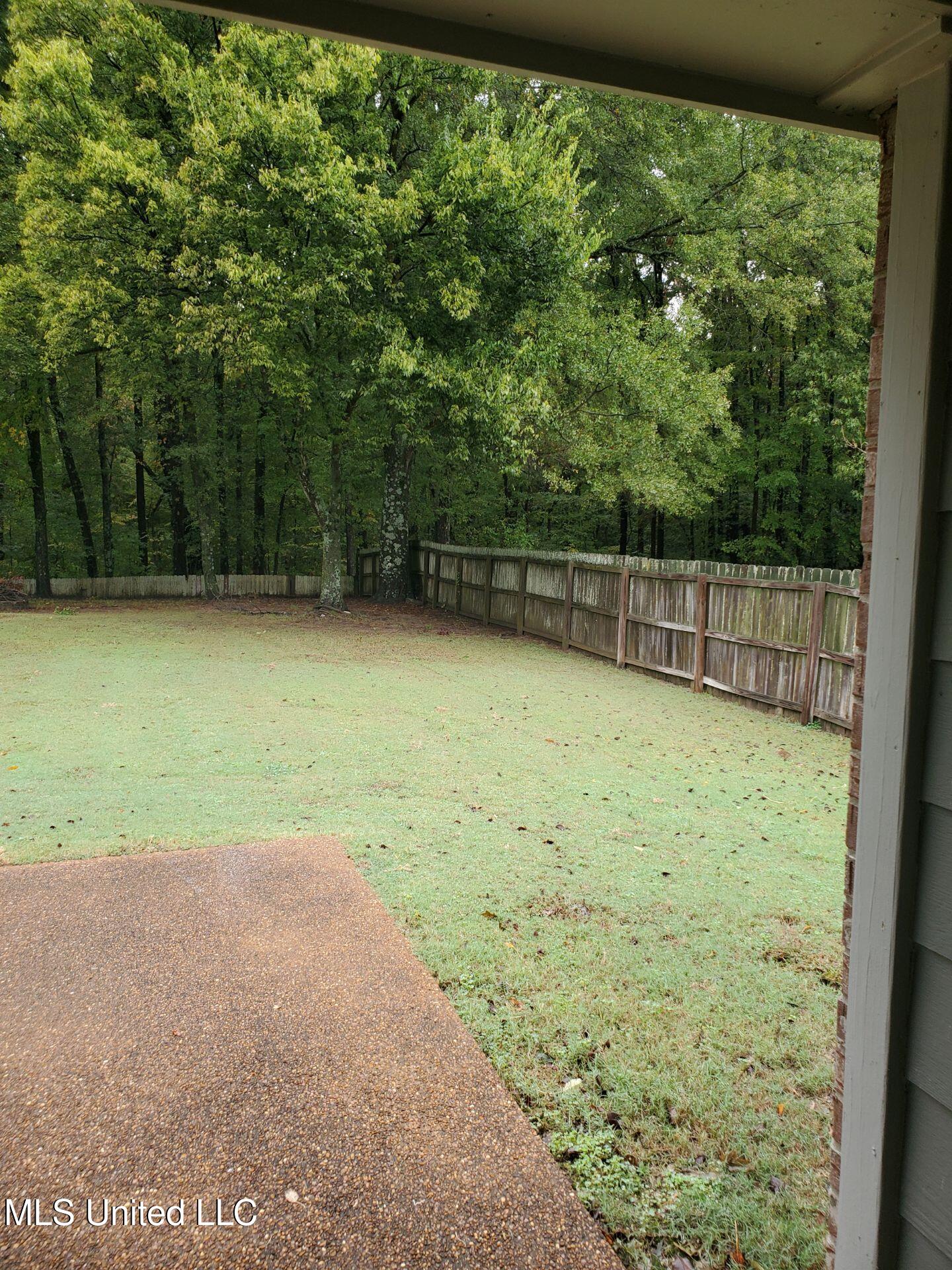 7655 Delta Lakes Boulevard Walls, MS 38680 - Photo 19 of 22 123_1