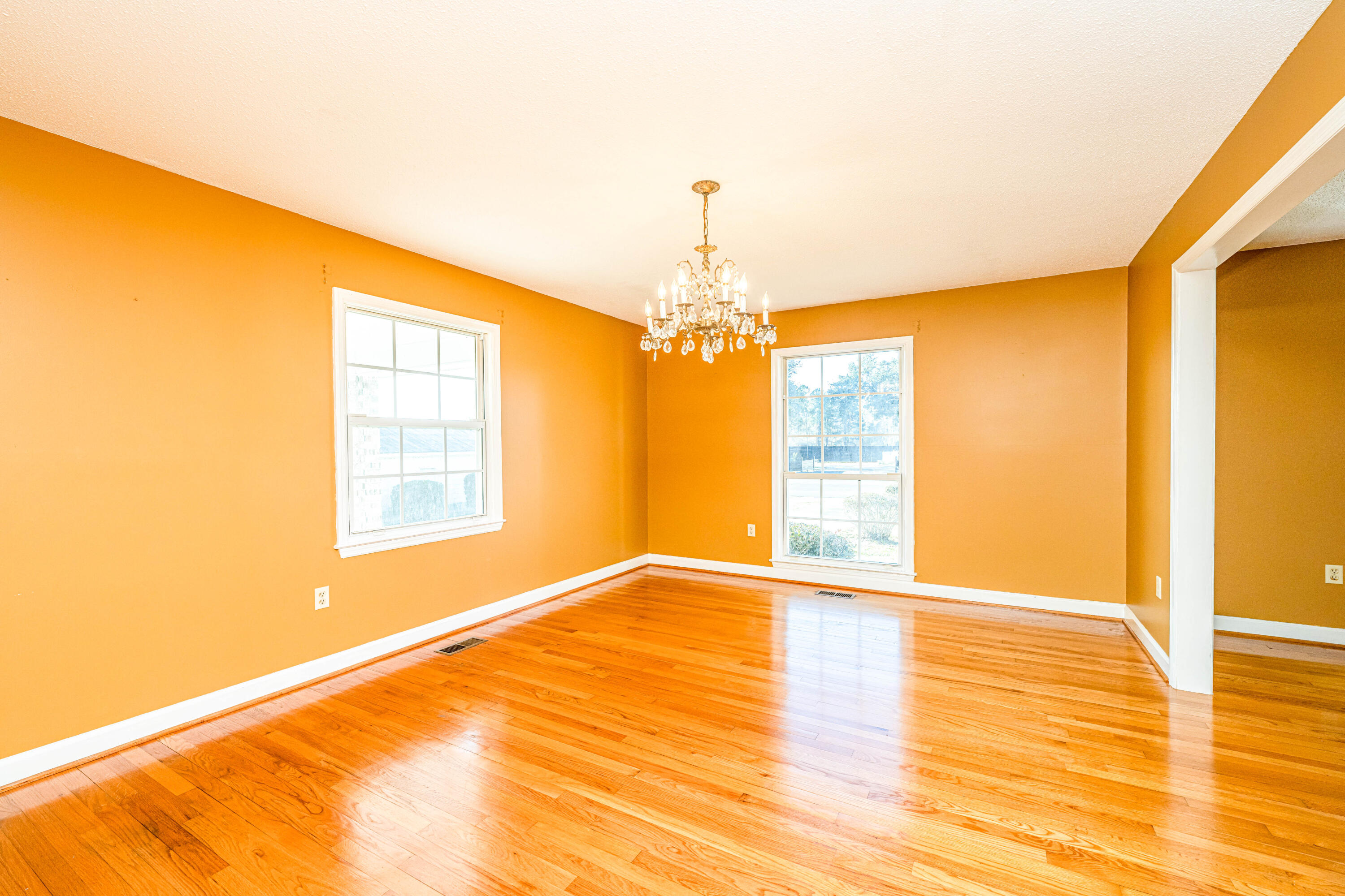 1486 Highway 61 Ridgeville, SC 29472 - Photo 13 of 38 DSC_6928