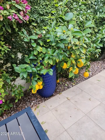 $10,500 | 7322 East Sierra Vista Drive, Scottsdale, AZ 85250