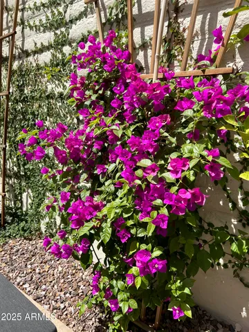 $10,500 | 7322 East Sierra Vista Drive, Scottsdale, AZ 85250