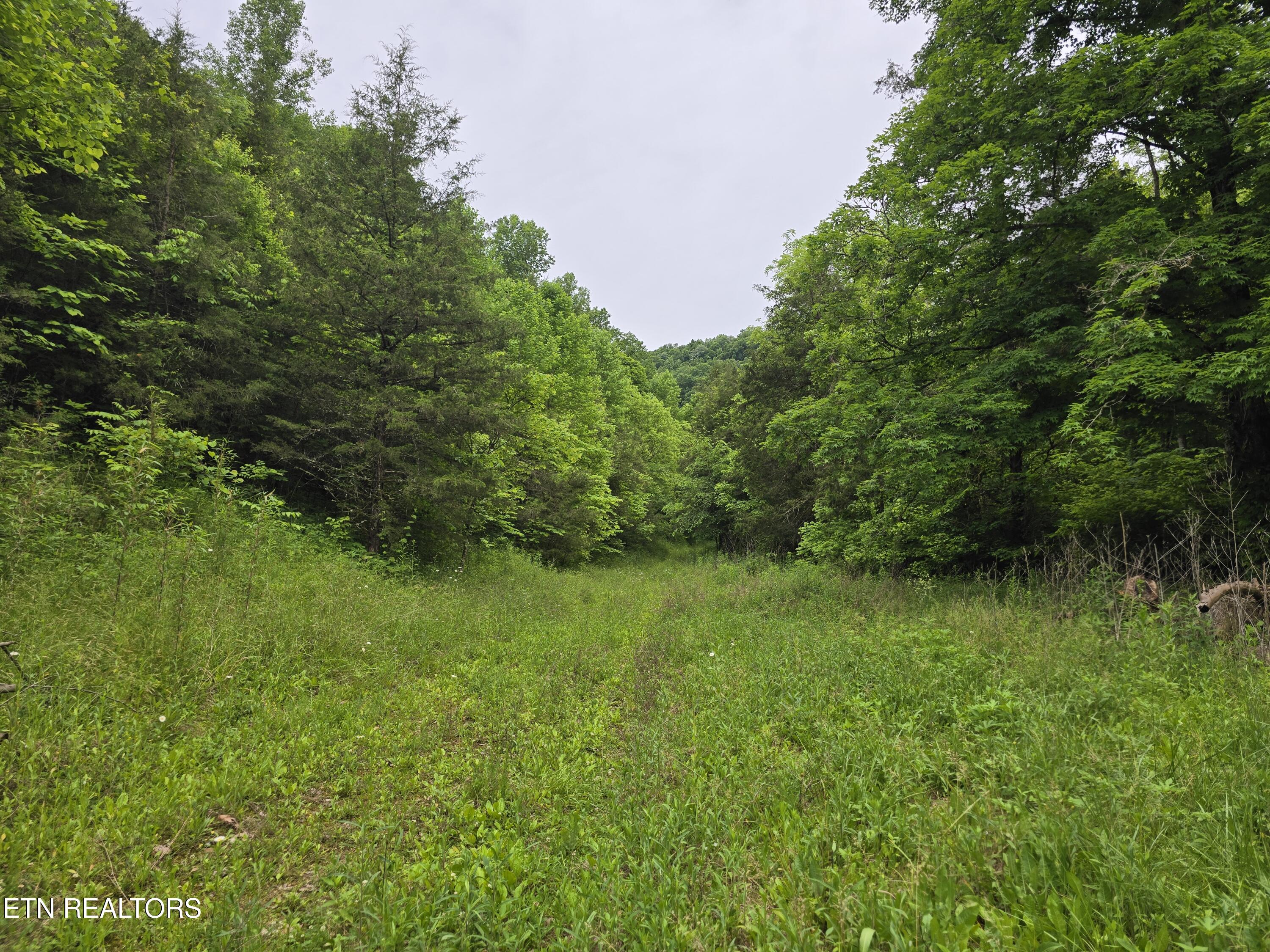 2615 Stoney Fork Road Sneedville, TN 37869 - Photo 44 of 60 20260525_192746
