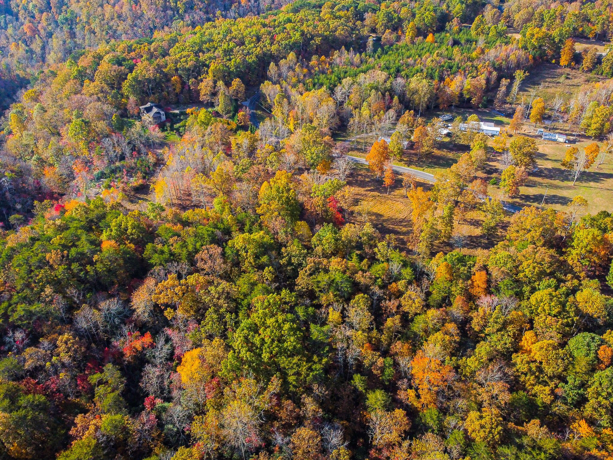 0 Monteagle Falls Road Monteagle, TN 37356 - Photo 14 of 21 a view of a tree