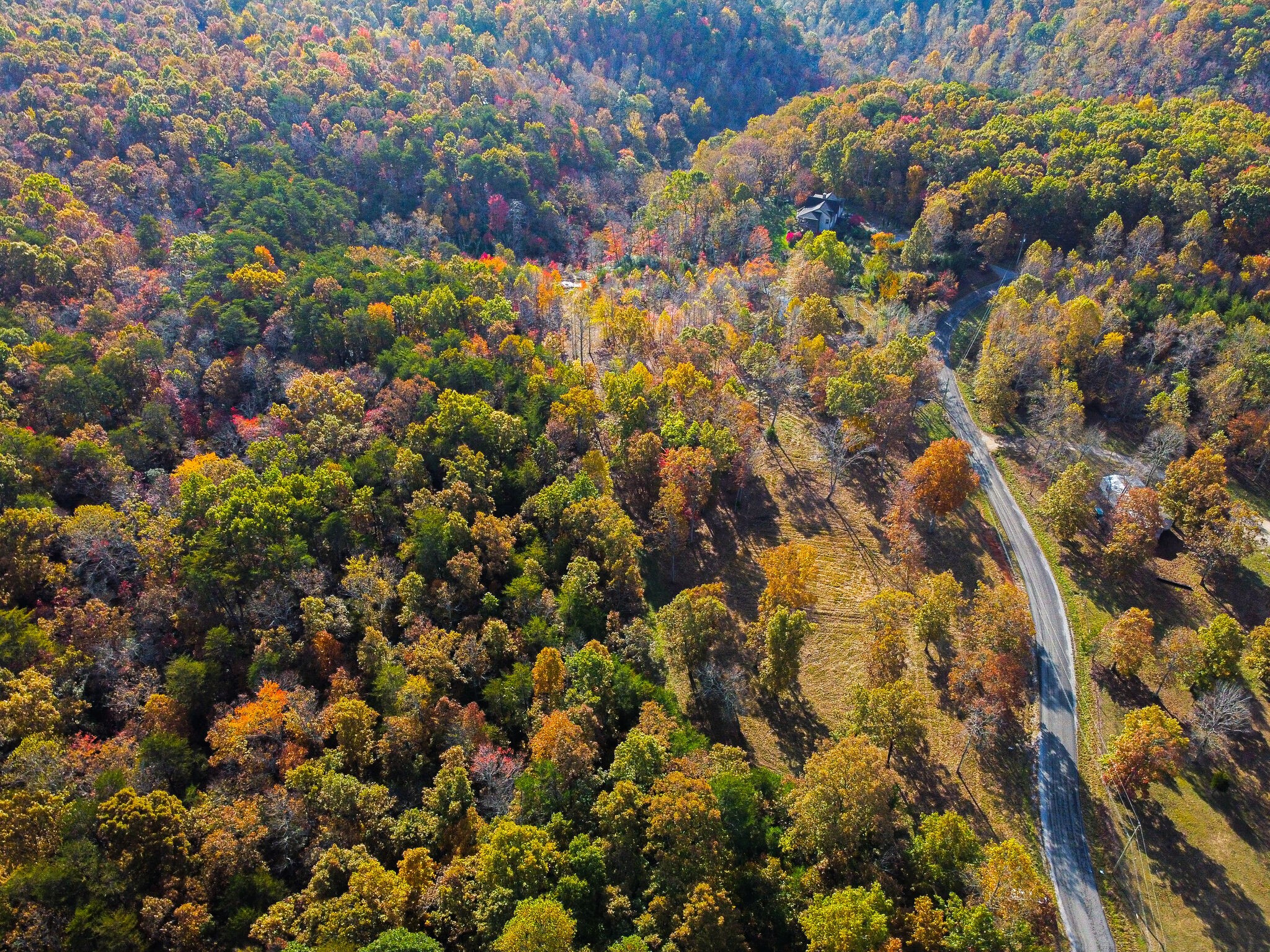 0 Monteagle Falls Road Monteagle, TN 37356 - Photo 15 of 21 a view of a tree