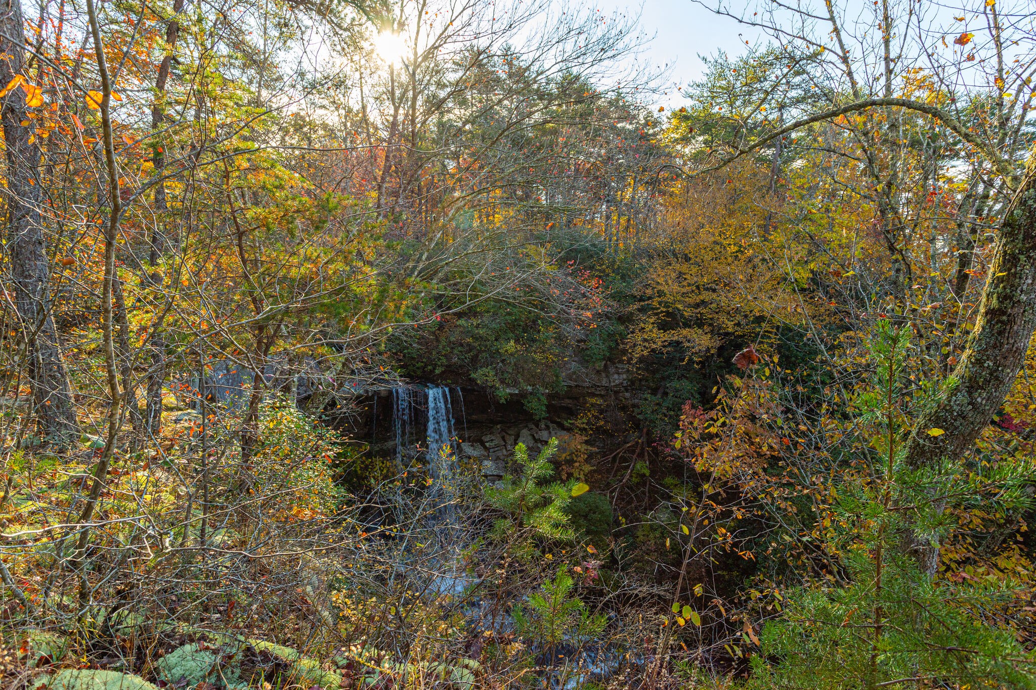 0 Monteagle Falls Road Monteagle, TN 37356 - Photo 5 of 21 a view of a house with a tree