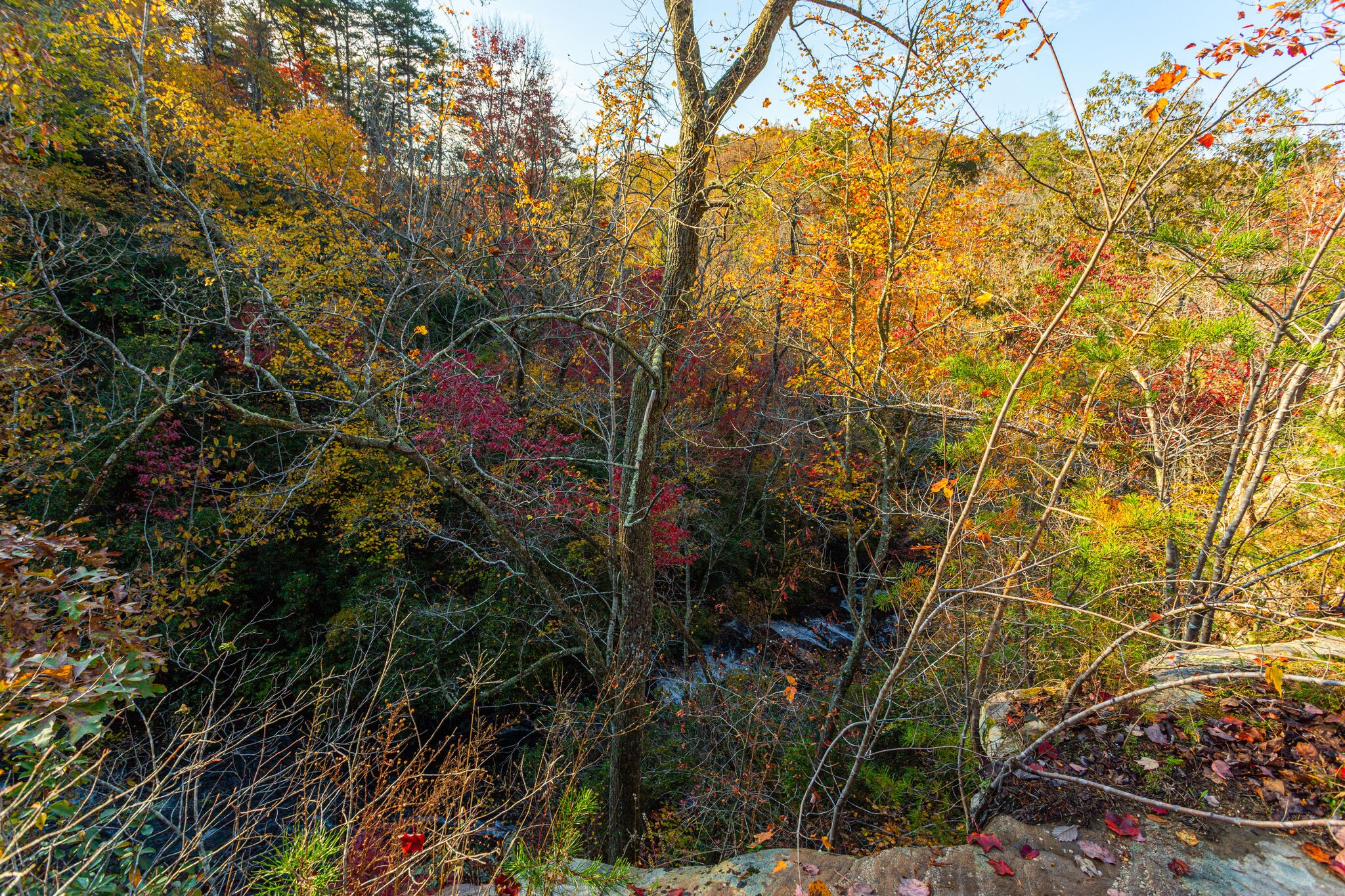 0 Monteagle Falls Road Monteagle, TN 37356 - Photo 8 of 21 a backyard of a house with lots of green space