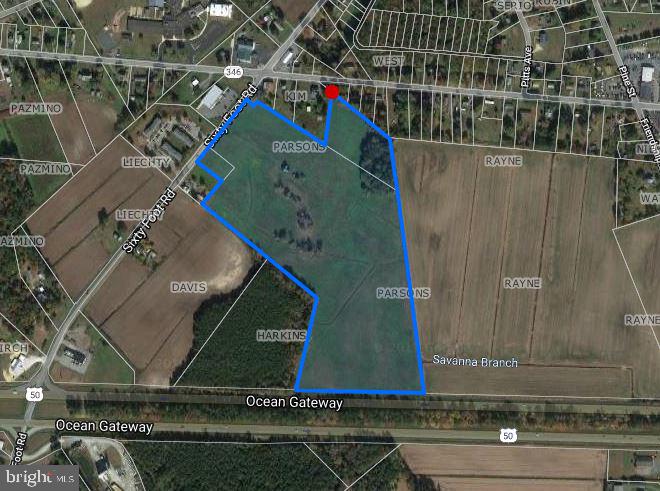 7235 Sixty Foot Road Pittsville, MD 21850 - Photo 5 of 6